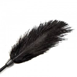 Еротично черно перо за галене Black Feather Tickler