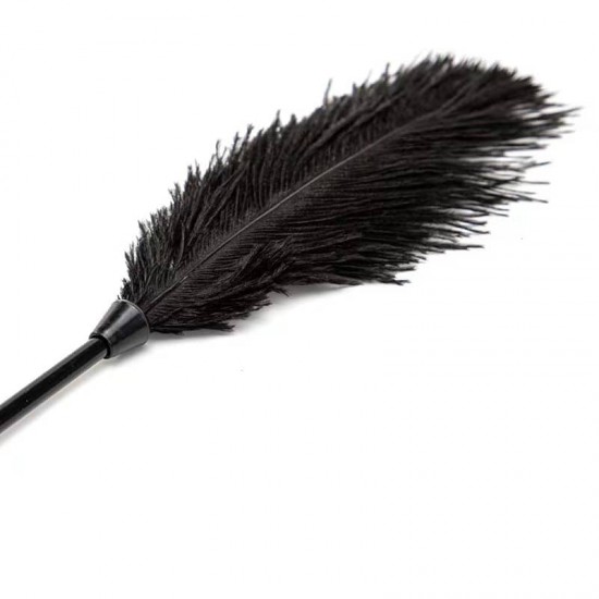 Еротично черно перо за галене Black Feather Tickler
