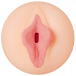 Отливка на вагината на Tori Black