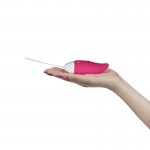 Вибриращо яйце IJOY Wireless с дистанционно